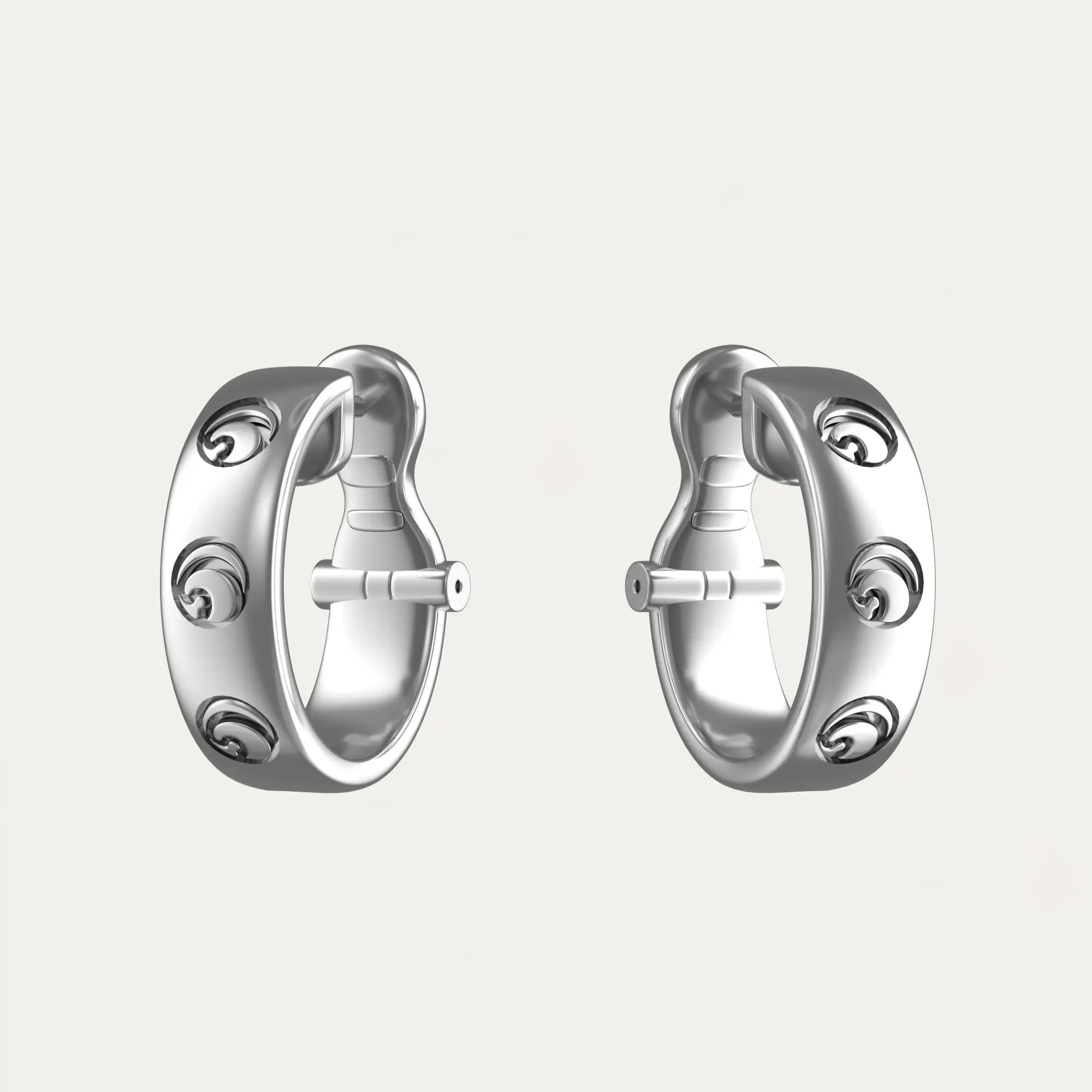 Close-up of a single green leaf against a white background.