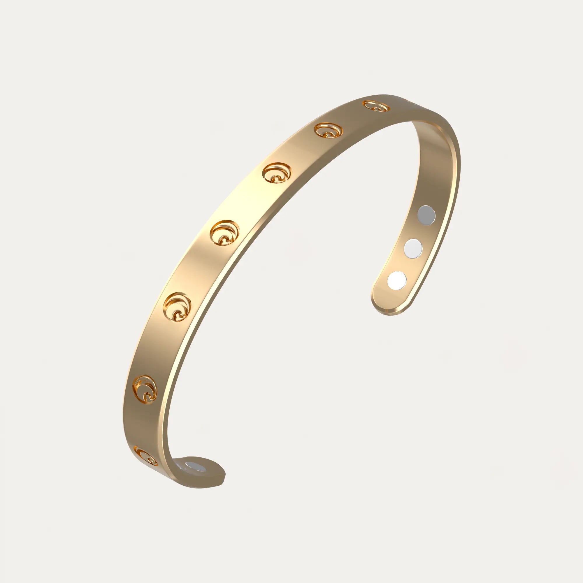 Close-up of a single green leaf against a white background.