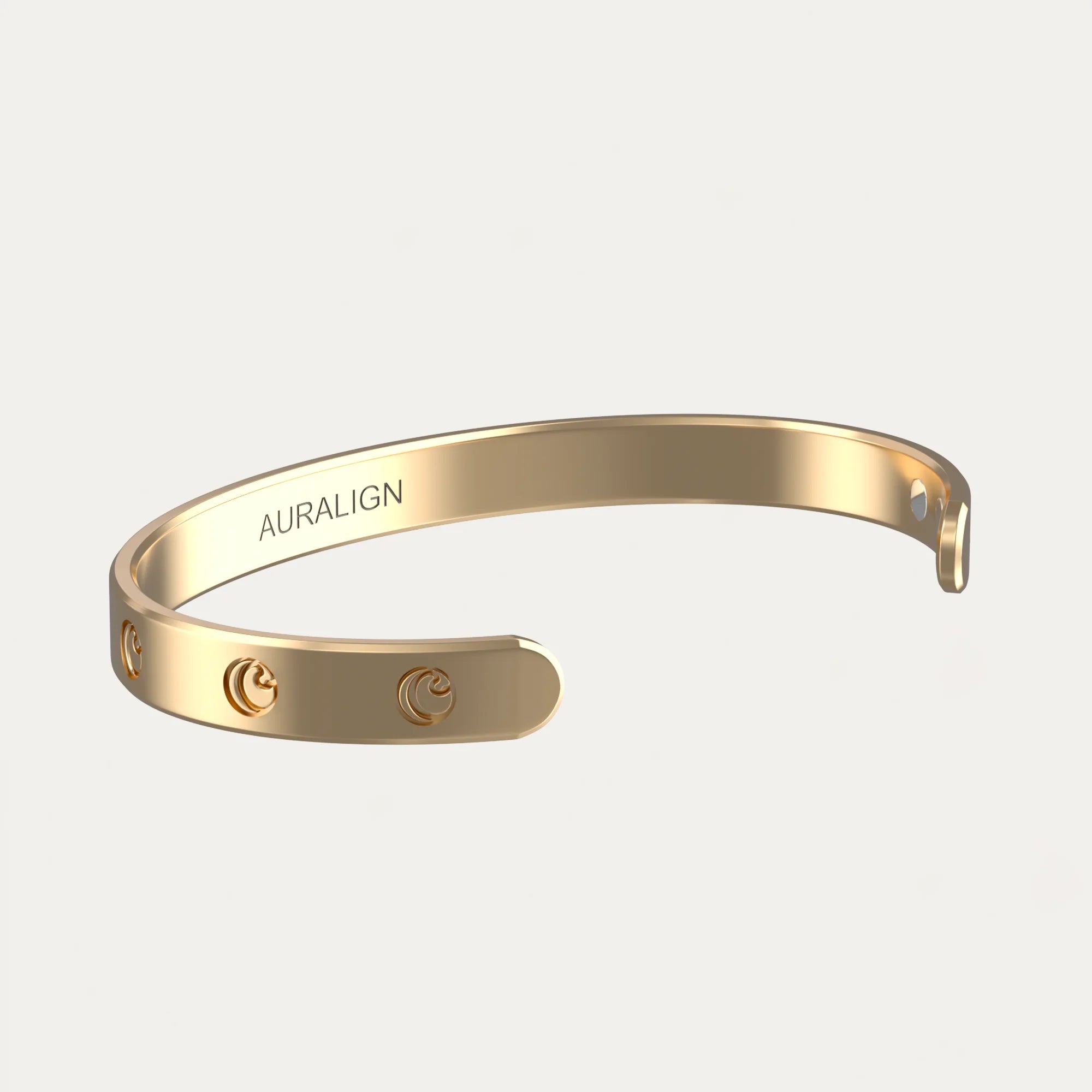 Close-up of a single green leaf against a white background.