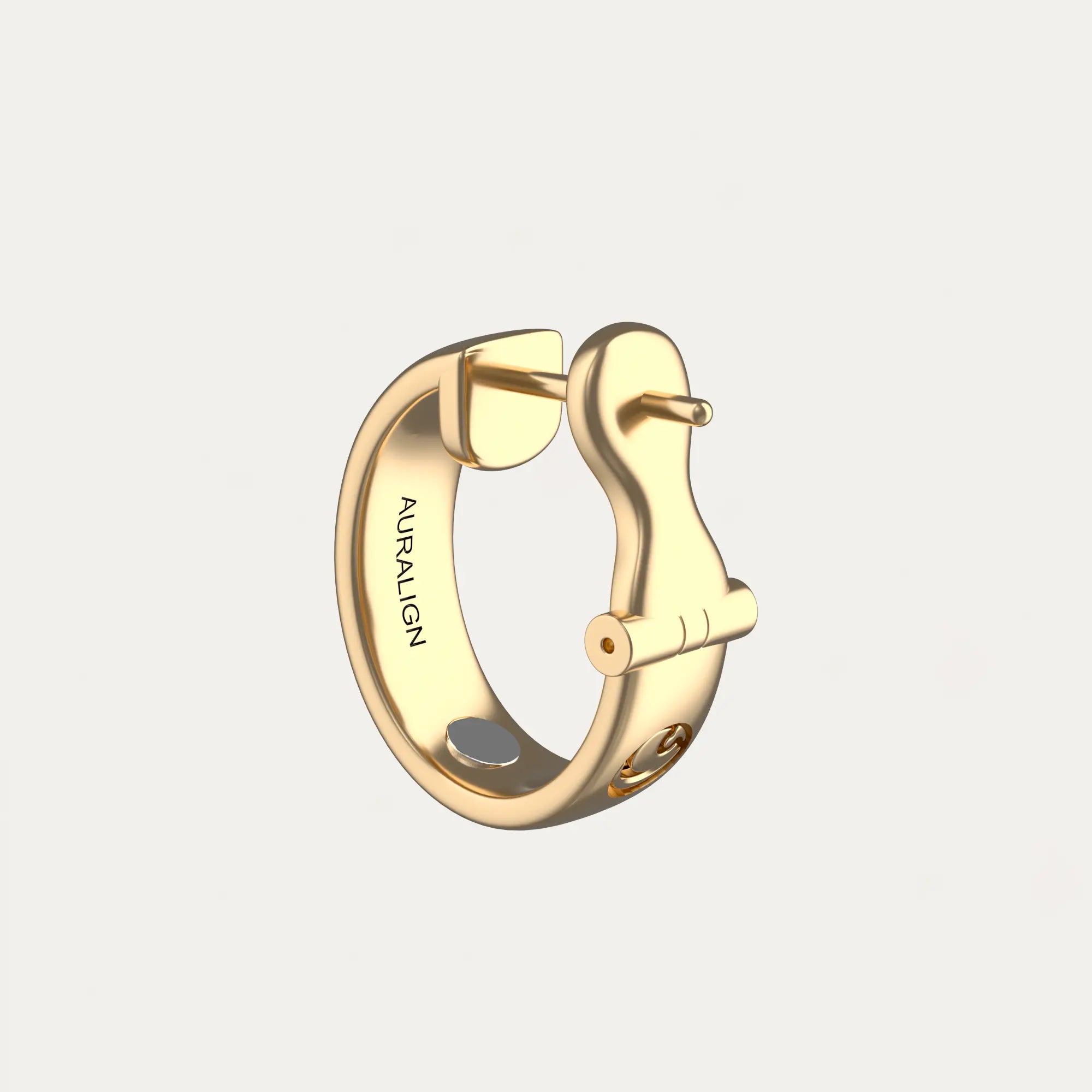 Close-up of a single green leaf against a white background.